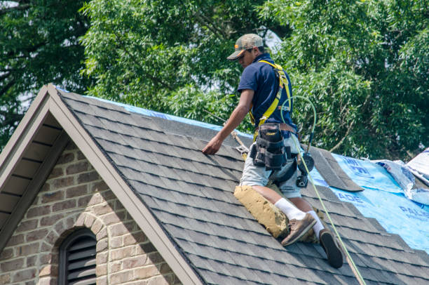 Best Shingle Roofing Installation  in Dalworthington Gardens, TX